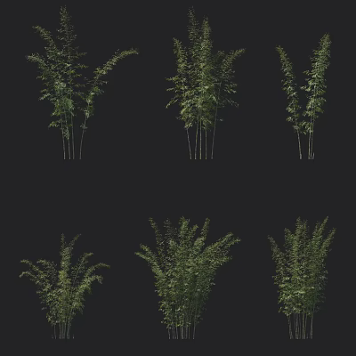 Various Bamboo Plants With Different Growth Forms And Lush Green Foliage 3d model