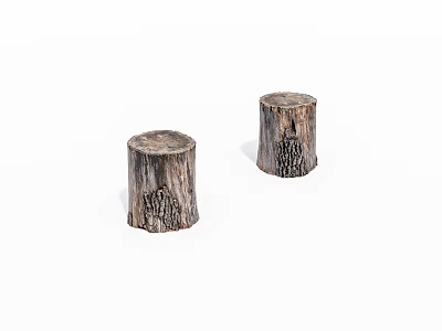Two Natural Wooden Tree Stumps With Rough Texture On White Background 3d model