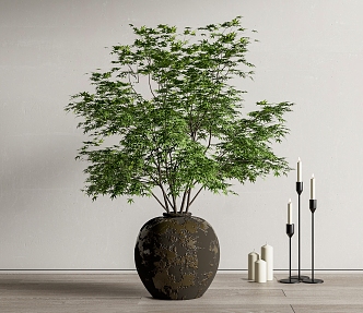 green plant floral potted plant bonsai candle holder 3d model