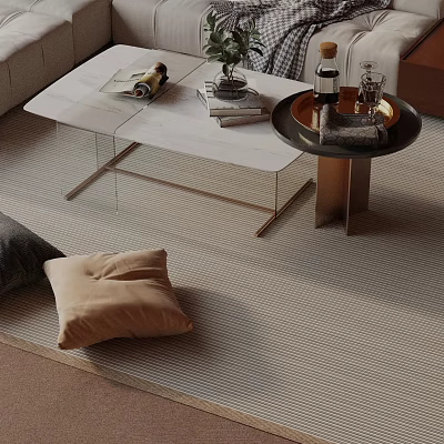 Modern Sofa and Coffee Table Set With Metal Frame Throw Pillows And Area Rug 3d model