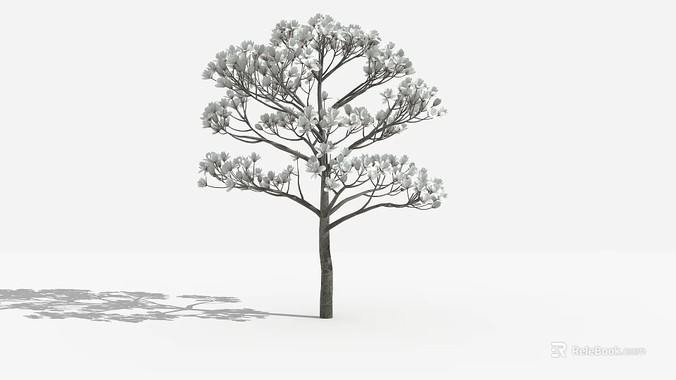 Realistic Tall Arbor With Dense Foliage And Tree Shadow Isolated On White Background 3d model