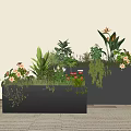 Indoor Potted Plants Arrangement In Black Rectangular Planters With Various Greenery And Flowers