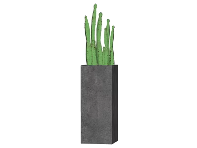 Modern Garden Landscape With Square Concrete Planter And Green Cactus Plants 3d model