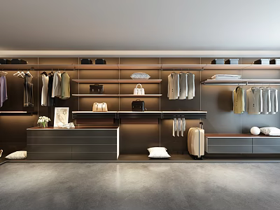 Modern Walk in Closet Interior With Hanging Clothes Shelves Drawers And Storage 3d model