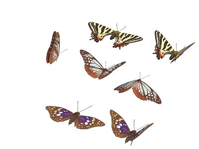 Modern Butterfly 3d model