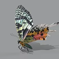 Vibrant Colored Butterfly with Green Black and Pink Patterned Wings Perched on Gray Background