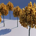 Trees With Vibrant Yellow Leaves Against Blue Sky On Snowy Ground