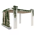 White Frame Pergola With Green Vines On Columns And Top Structure