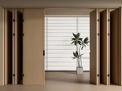 Modern Wooden Folding Doors Open to Reveal Bright Space With Window and Potted Plant 3d model