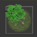 Woman Standing Under Green Tree With Sword On Grassy Area With Stones