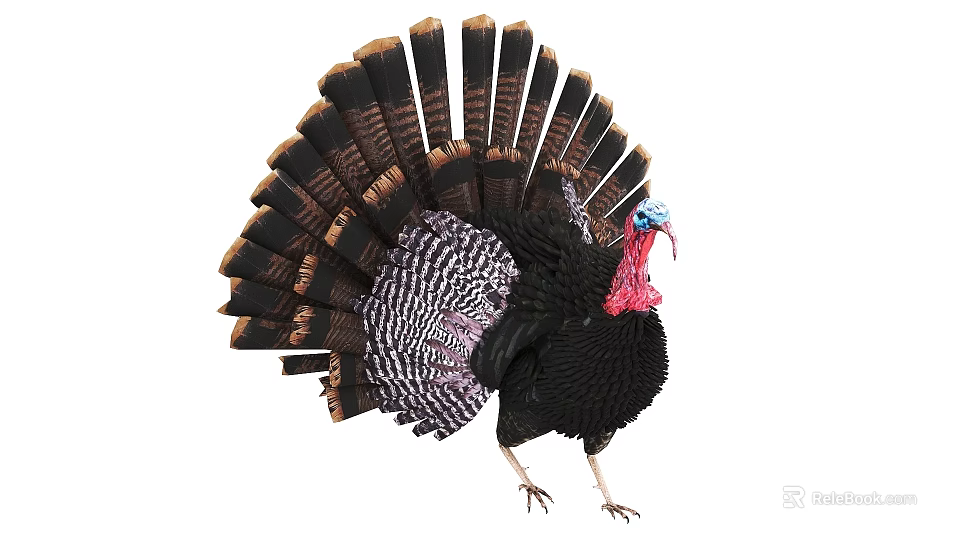 Striking Male Turkey Displaying Spread Tail Feathers And Colorful Head 3d model 