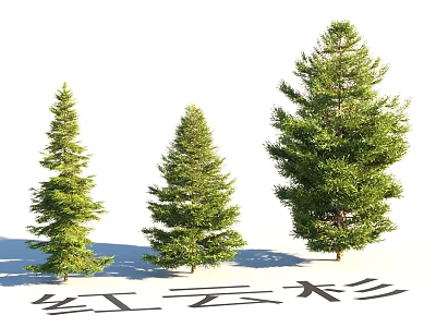 Garden Landscape Design Featuring Red Spruce Trees With Various Heights And Green Foliage 3d model