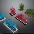Colorful Blue Pink Green Plants in White Black Square Rectangular Containers
