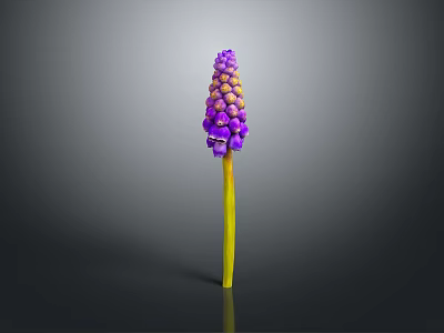 Vibrant Purple And Yellow Edible Flowers For Healthy Food Dishes 3d model