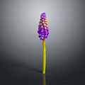 Vibrant Purple And Yellow Edible Flowers For Healthy Food Dishes