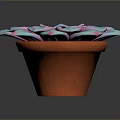 Vibrant Succulent Plant With Blue Pink Leaves In Brown Ceramic Pot