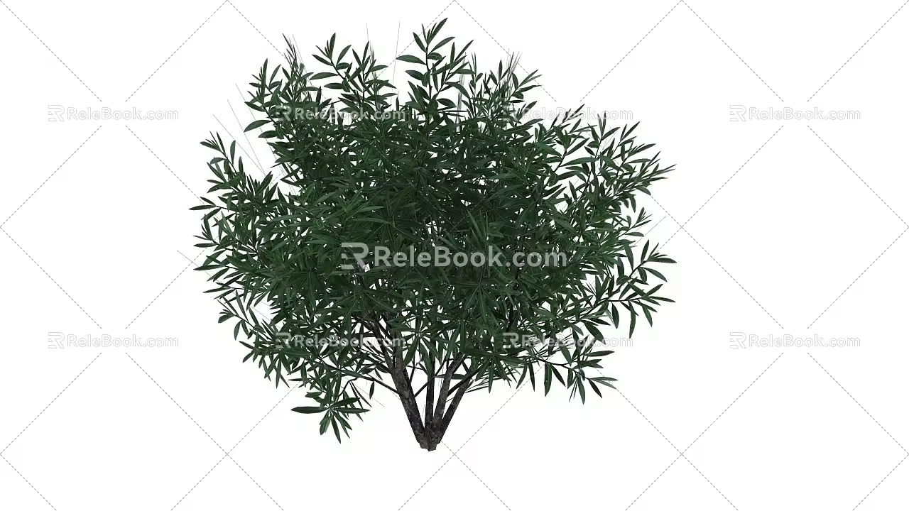 Oleander large shrub green plant greening evergreen erect large shrub safflower oleander willow peach tree Yangtao called winter willow tree Yangtao plum 3d model