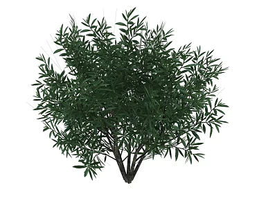 Lush Green Bush With Dense Fresh Leaves And Natural Growth Features 3d model