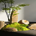Natural Rockery Stones Arrangement with Green Moss and Leafy Tree in Garden