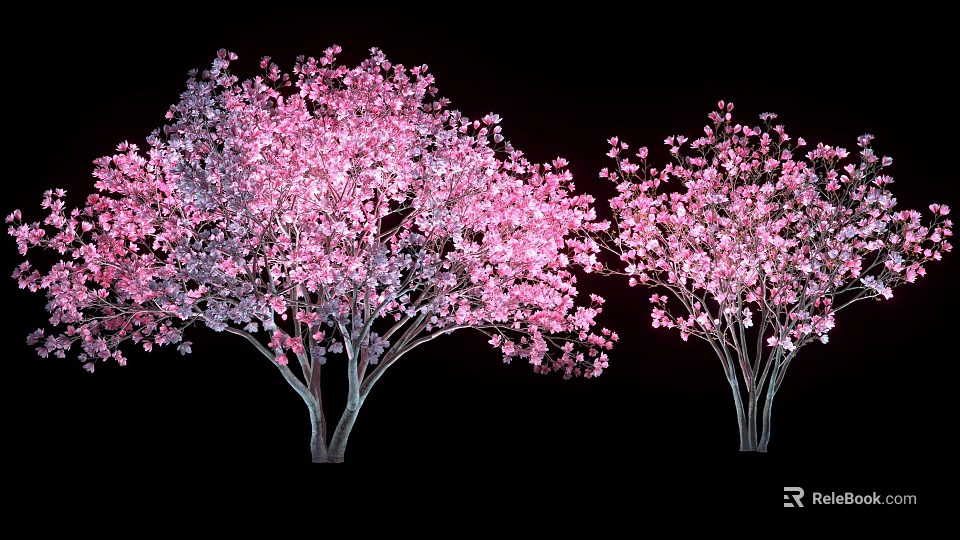 Beautiful Arbor Trees With Vibrant Pink Blossoms In Full Bloom Against Black Background 3d model 