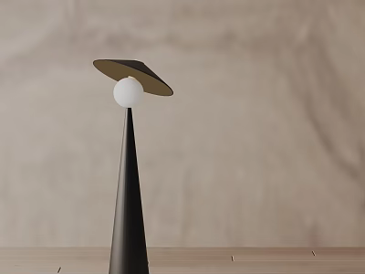 Modern Floor Lamp with Black Cone Base Disc Shade and White Globe on Wooden Tabletop 3d model