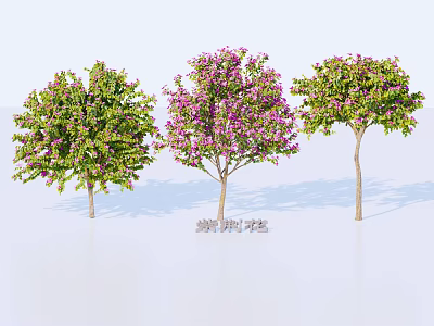 Blooming Arbor Trees With Pink Flowers And Green Leaves In Garden Landscape 3d model