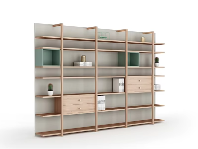 Modern Bookcase Interior Design With Open Shelves Drawers Potted Plants And Books 3d model