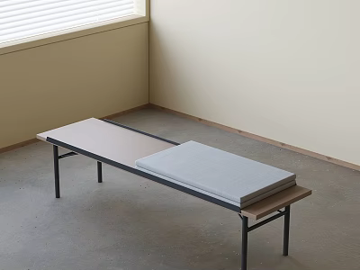 Modern Sofa Bench With Light Wooden Top Gray Cushion And Black Metal Legs In Minimalist Interior 3d model