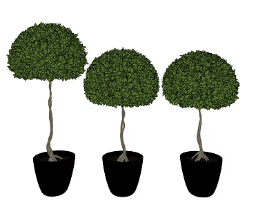 Modern Potted Plant Green Plant Bonsai 3d model