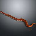 Brown and Orange Patterned Snake Slithering on Gray Background with Reflective Surface 3d model