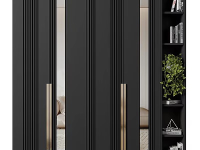 Modern Interior Door With Black Panel Gold Handles And Bookshelf Green Plant 3d model