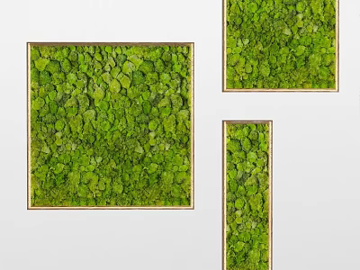 Indoor Living Plant Wall Decor With Multiple Gold Framed Panels On White Background 3d model