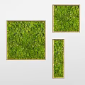Indoor Living Plant Wall Decor With Multiple Gold Framed Panels On White Background