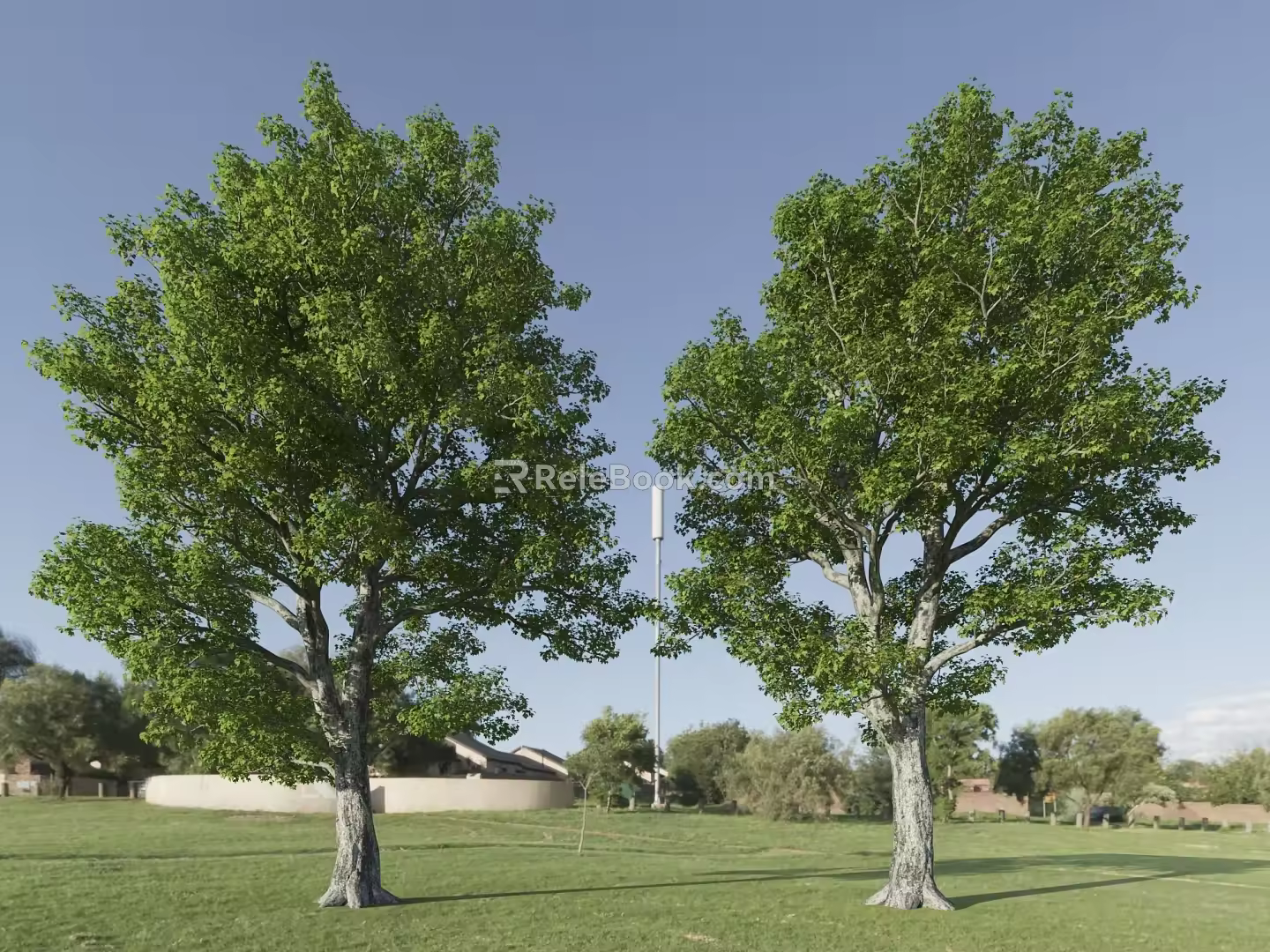 Big Trees Good Trees Bifurcation Trees Street Trees Old Trees Landscape Trees Plants 3d model