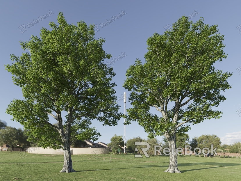 Big Trees Good Trees Bifurcation Trees Street Trees Old Trees Landscape Trees Plants model