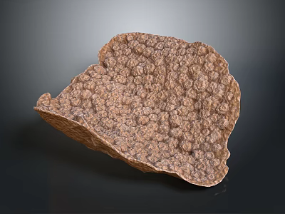 Wooden Stone Decorative Piece With Irregular Shape Rough Textured Surface And Natural Pattern 3d model