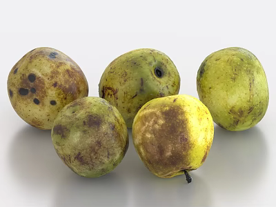 Five Greenish Yellow Fruits With Brown Spots On White Background 3d model
