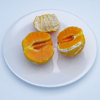 Modern Fruit Orange 3d model