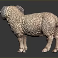 Detailed Sheep Sculpture With Curly Wool Texture In Standing Pose On Dark Background