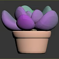 Colorful Succulent Plant with Purple Pink Light Green Leaves in Pink Pot on Dark Background