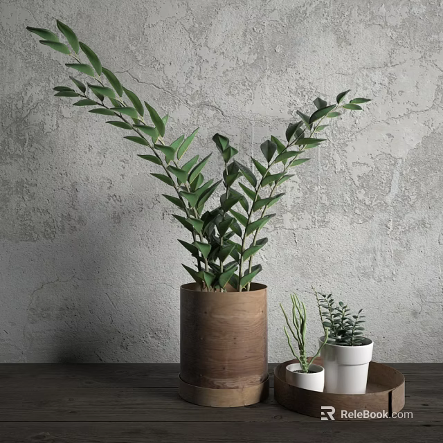 Bonsai Potted Plant in Wooden Pot with Small Potted Plants on Tray Gray Wall Background 3d model 