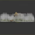 Wood Stone Natural Landscape With Tree Stump Green Grass Ferns And Fresh Mushrooms