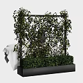 Stylish Bonsai Planter With Metal Trellis And Lush Climbing Green Shrubs