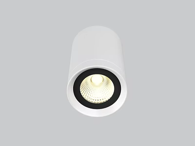 Sleek White Modern LED Downlight Spotlight Ceiling Mounted Lighting Fixture 3d model
