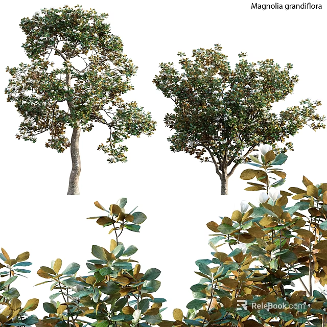 Decorative Plant Ornament Set with Various Green Trees and Realistic Leaves for Home Decor 3d model 
