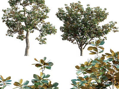 Decorative Plant Ornament Set with Various Green Trees and Realistic Leaves for Home Decor 3d model