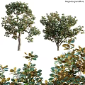 Decorative Plant Ornament Set with Various Green Trees and Realistic Leaves for Home Decor