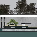 Contemporary Scenic Wall Featuring Stone Texture And Pine Tree By Water Pool
