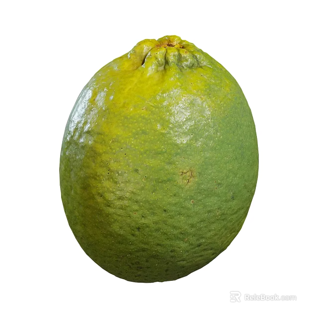 Fresh Green Pomelo Fruit With Natural Textured Skin And Smooth Surface 3d model 
