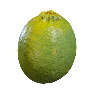 Modern Lemon 3d model